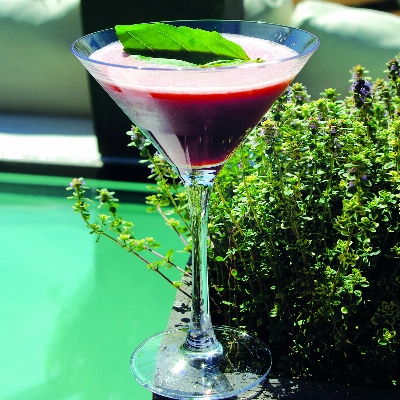 Recette cocktail Basil Dream de Romain Tritsch