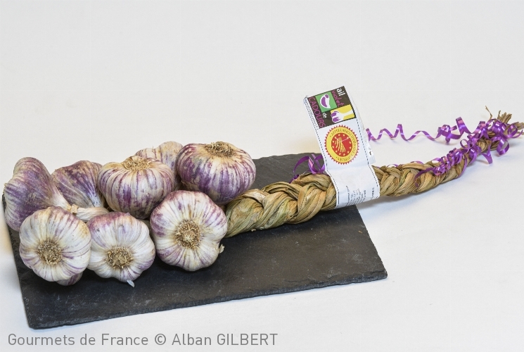 Ail Violet de Cadours