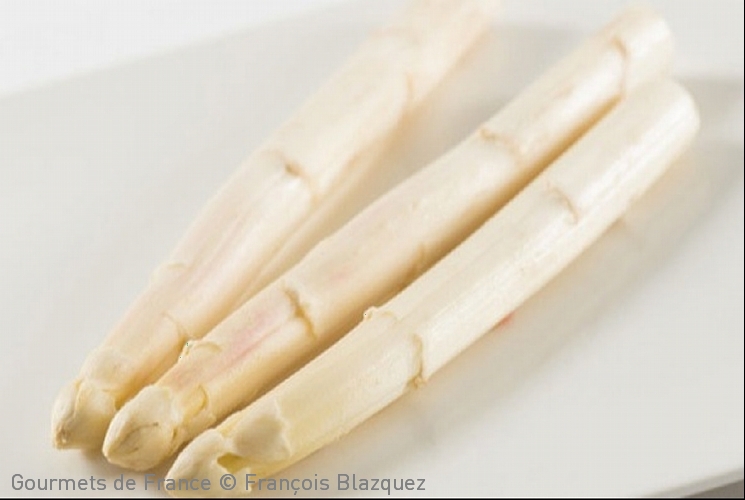 photo des asperges de blayais