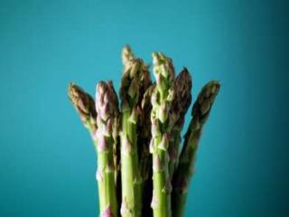 asperges_mousseline.jpg