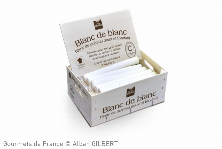 Blanc poireaux Planète Végétal