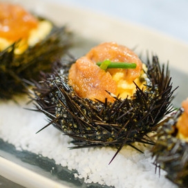 photo de la recette brouillade oursins