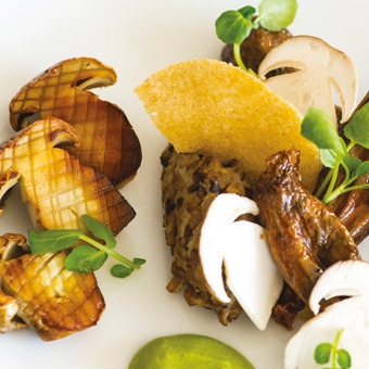 photo de la recette de cepes rotis et en tartare