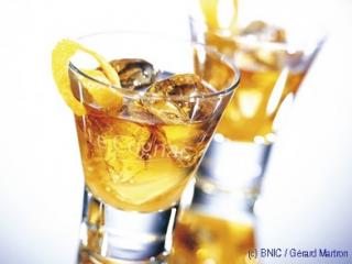 cocktail_horses_neck.jpg