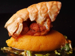 langoustine_rotie_darroze_-_a_eclaircir.jpg
