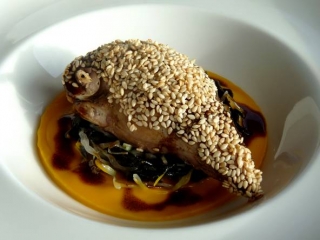 perdreau_rouge_roti_sesame-grille_veloute-de-potimarrons_choux_trompettes_davidguitton.jpg