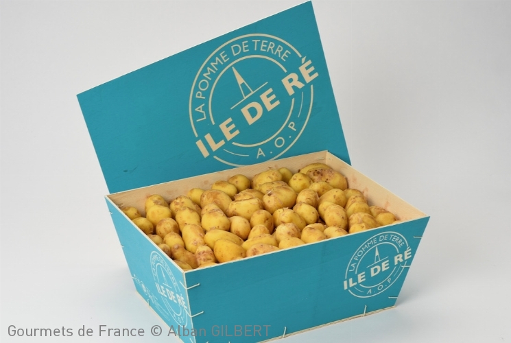 Pommes de terre Ile de Ré