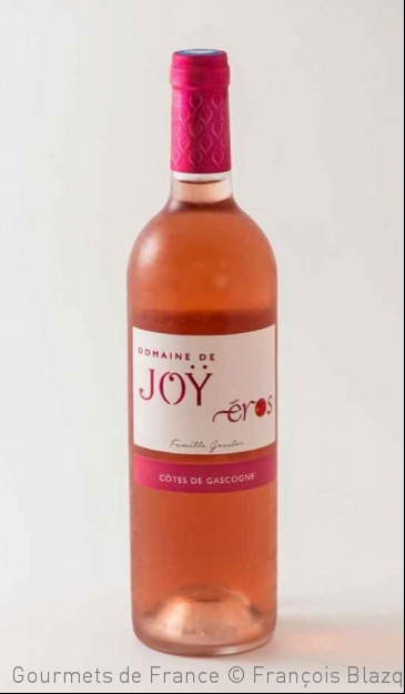 photo de la bouteille des cotes de gascogne du domaine de joy