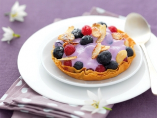 tarte_fine_aux_myrtilles_bio_nat.jpg