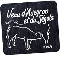 logo de irva