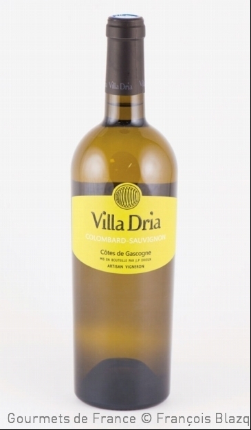 photo de la bouteille de villa dria