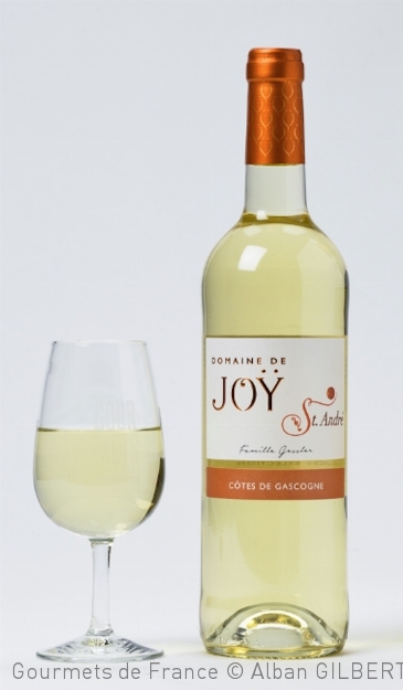 Vin blanc Domaine de Joy