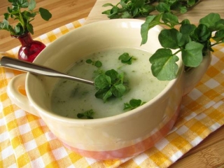 bechamel_soupe_cresson.jpg