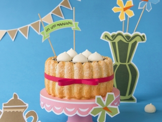 charlotte_vanille_deux_chocolats_et_son_croustillant_de_meringues_biscuits_gateaux_de_france.jpg