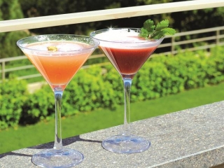cocktail_eden_martini_v2_gauche.jpg