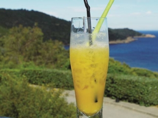 cocktail_laos_fever_v2.jpg