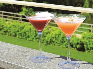 cocktail_thai_martini_v2.jpg