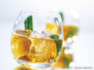 cognac_summitcognac.jpg