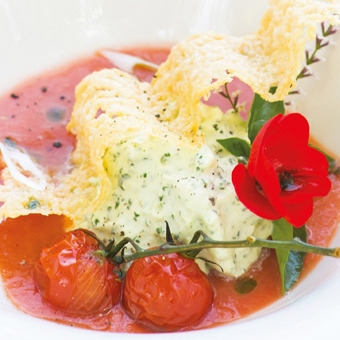 photo de la recette de gaspacho de tomates et espuma de basilic au parmesan