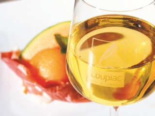 melon_loupiac_vignoblesbord.jpg