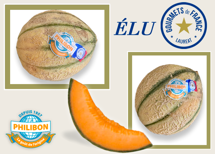 Philibon melon