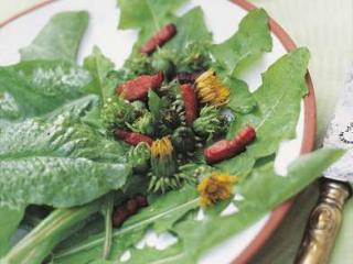 salade_boutons_pissenlit.jpg