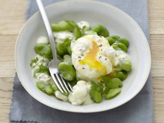 salade_feves_oeuf_poche_carre_frais.jpg